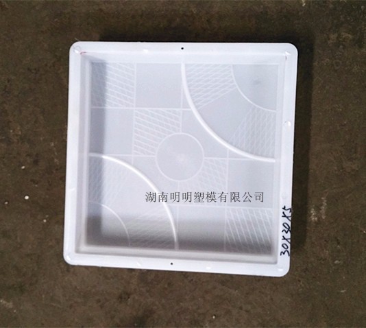 广西30*30*5花板路面砖塑料模具